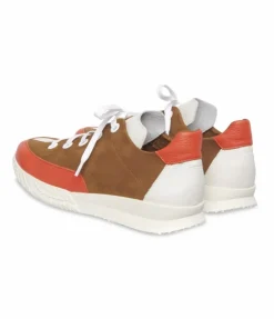 Hot Arche Sneakers Andhye